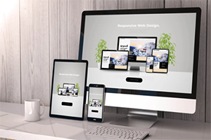 Website Maintenance Delhi